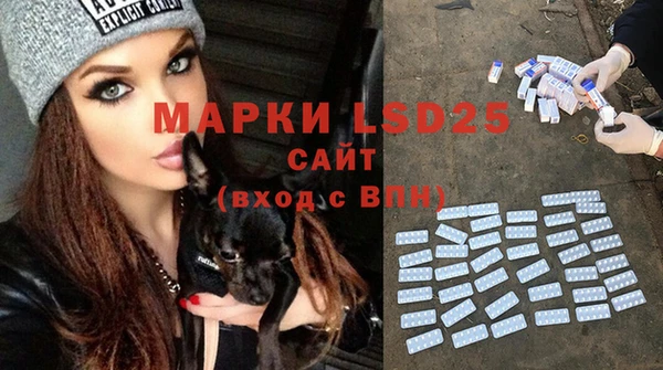 шишки Липки