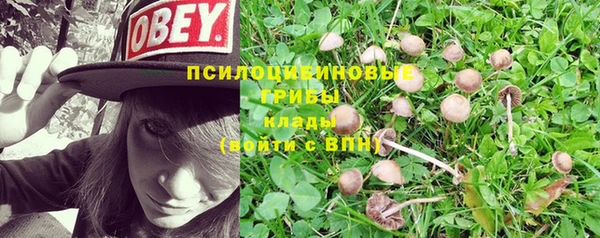 MDMA Богданович