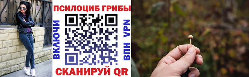 Псилоцибиновые грибы GOLDEN TEACHER  Болгар 