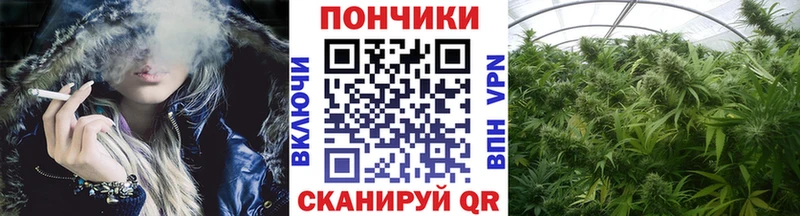 KRAKEN ONION  продажа наркотиков  Болгар  Шишки марихуана план 